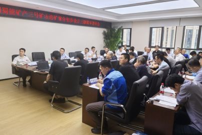 蜀能礦產(chǎn)三號(hào)礦山選礦部分初步設(shè)計(jì)三級(jí)聯(lián)審評(píng)審會(huì)在成都舉行